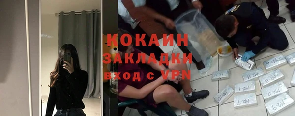 PSILOCYBIN Богородицк