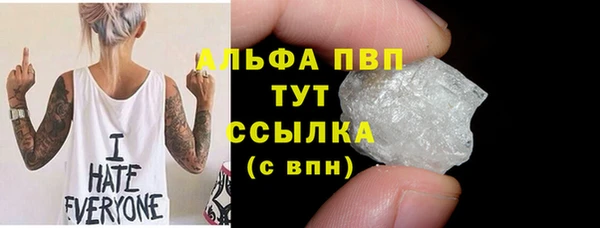 PSILOCYBIN Богородицк