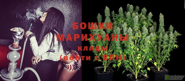 ГАЛЛЮЦИНОГЕННЫЕ ГРИБЫ Богородск