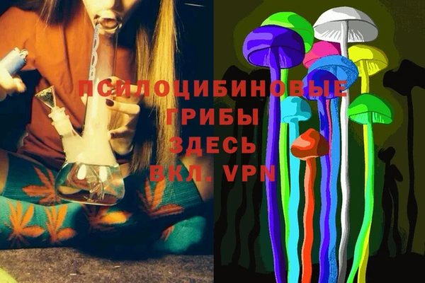 PSILOCYBIN Богородицк