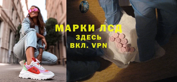 гашик Аркадак