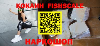 индика Дубна