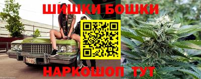 индика Дубна