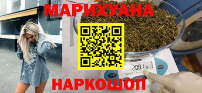 индика Дубна