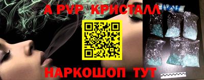 индика Дубна