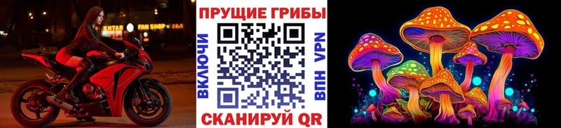 Галлюциногенные грибы прущие грибы  дарнет шоп  Мурманск 