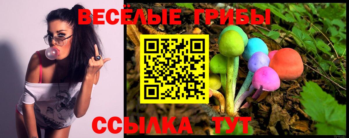 Галлюциногенные грибы Cubensis  Вход с VPN  Мурманск 